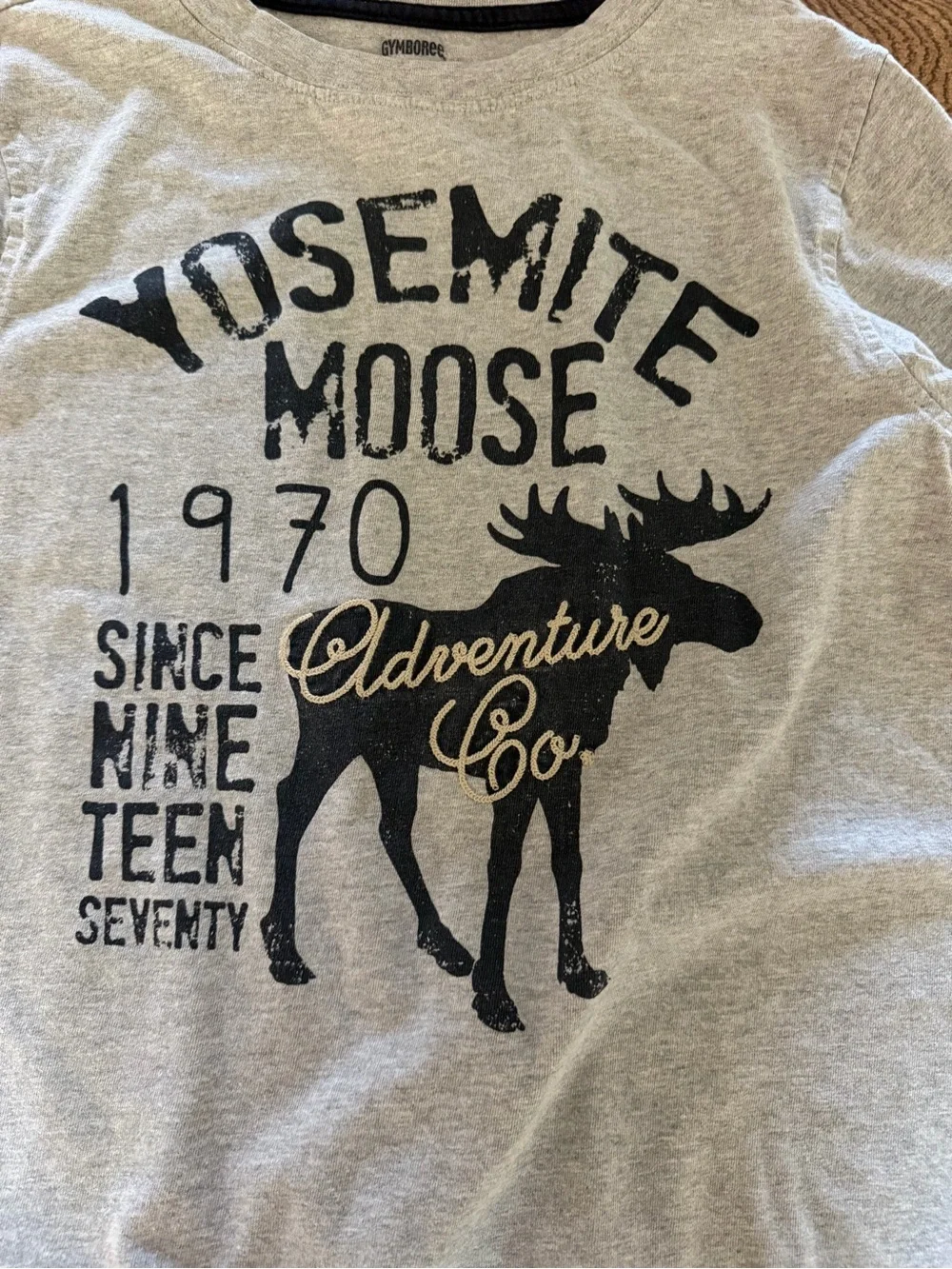 Gymboree Gray Yosemite Moose Long-Sleeve Tee
